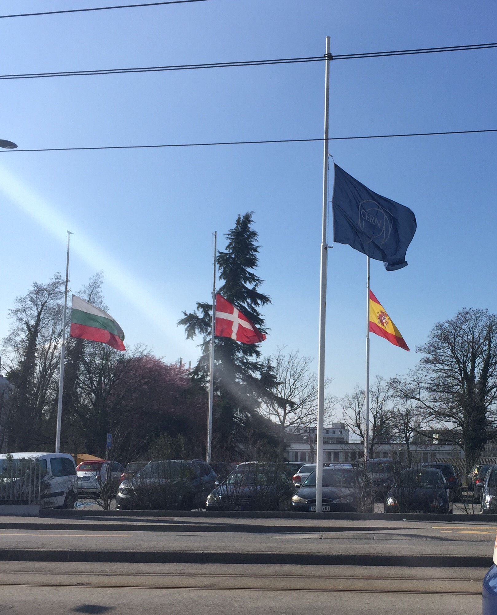 CERN flag